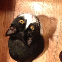 Profile avatar image for D23Novotny