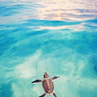 Profile avatar image for IAmVeryBusy