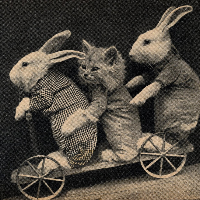 Profile avatar image for paperthoughts