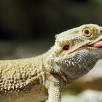 Profile avatar image for seacap