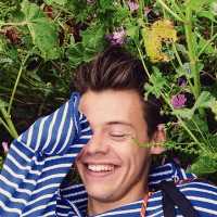 Profile avatar image for arayahn