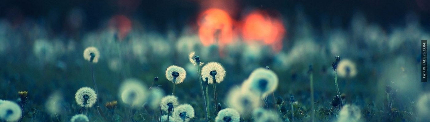 Profile banner image for Ldla