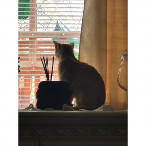 Profile avatar image for Ldla