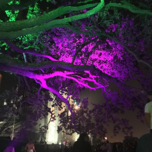 Profile avatar image for sparrow