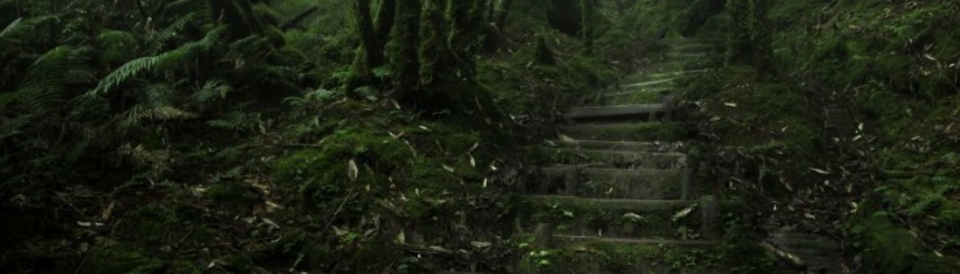 Profile banner image for TheScribe