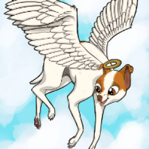 Profile avatar image for TheScribe