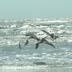 Profile avatar image for BethanyBuchanan