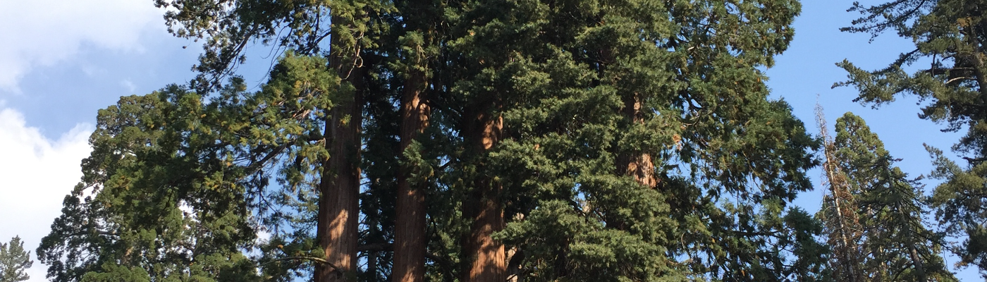 Profile banner image for simplyruth