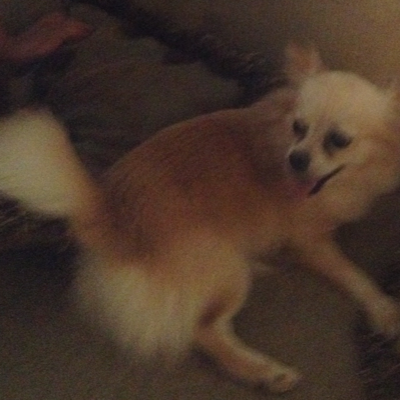 Profile avatar image for Lanie