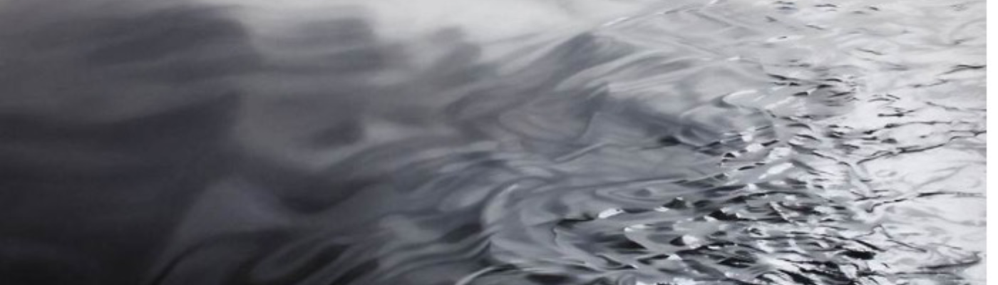 Profile banner image for SalingerTwain