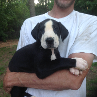 Profile avatar image for AyaRavenwood