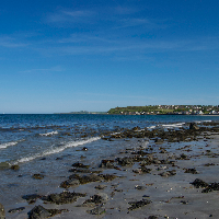 Profile avatar image for purplesocks