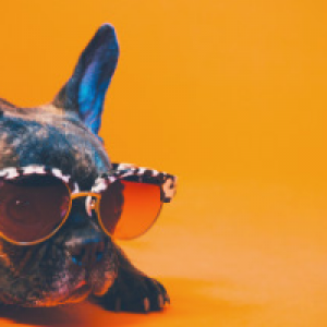 Profile avatar image for WriterInspired