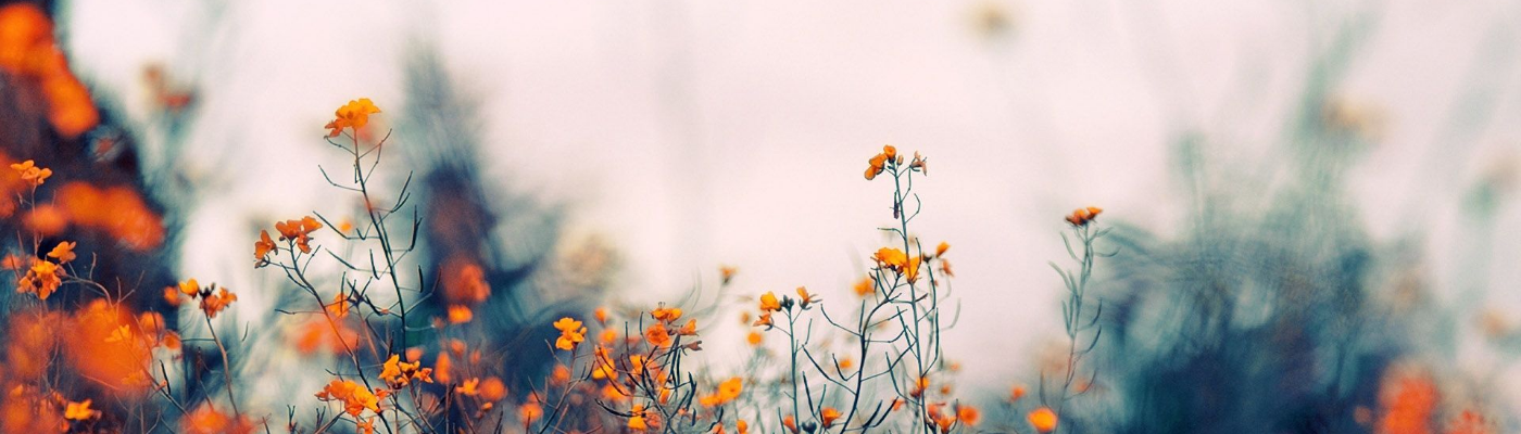 Profile banner image for jaymeh_moon