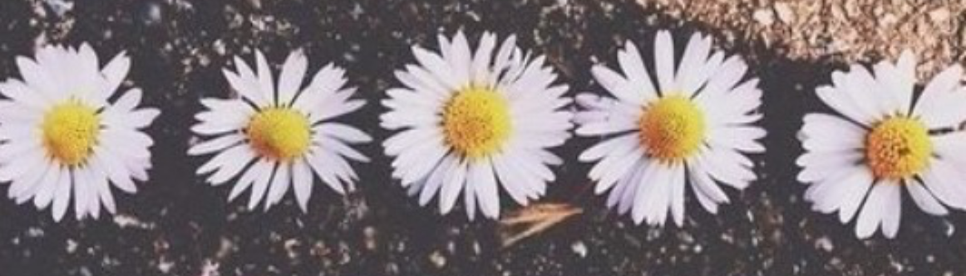 Profile banner image for NellieeJelliee