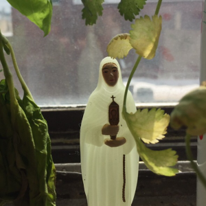 Profile avatar image for zevi