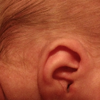 Profile avatar image for Estril