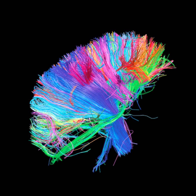 Profile avatar image for Ericjay