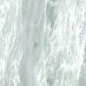 Profile avatar image for sophiarodriguez