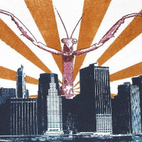 Profile avatar image for Harris