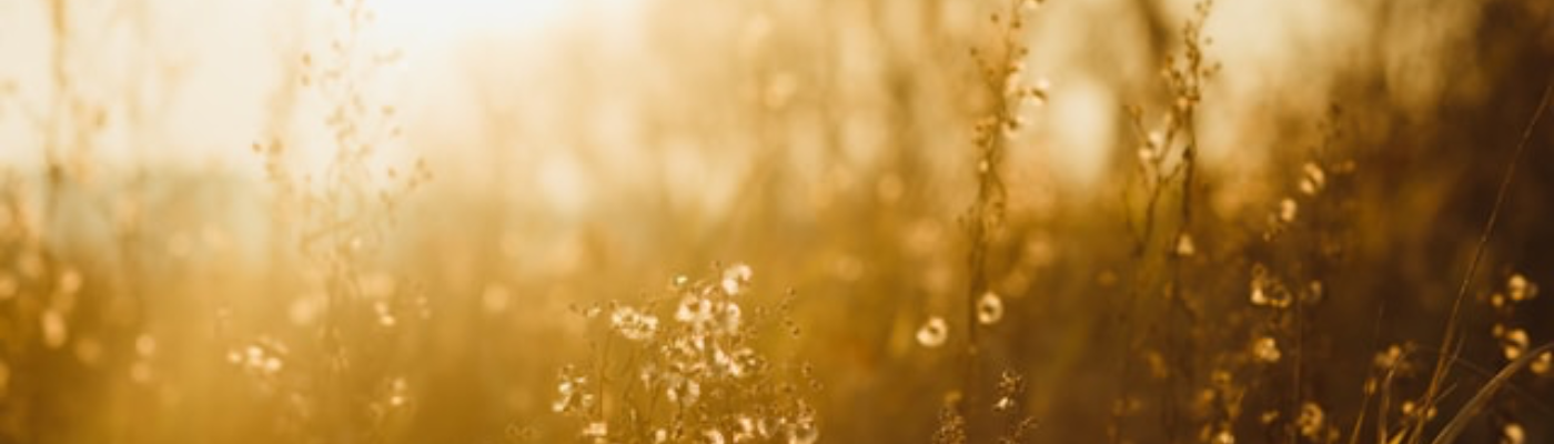 Profile banner image for saltandink