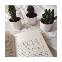 Profile avatar image for Valnoke