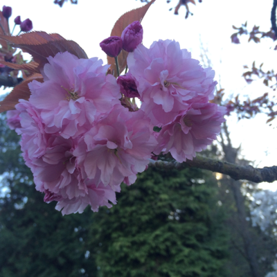 Profile avatar image for frenchy03