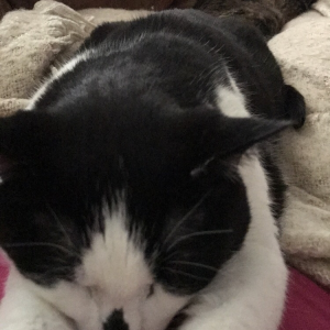 Profile avatar image for Megrs19