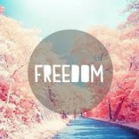 Profile avatar image for siavojage