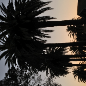 Profile avatar image for MKay