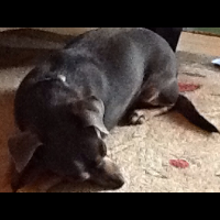 Profile avatar image for Purplecocodog