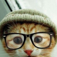 Profile avatar image for ThePoemCat