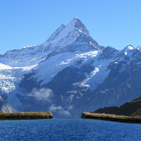 Profile avatar image for alliebaubanow