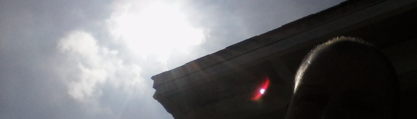 Profile banner image for timsevertson