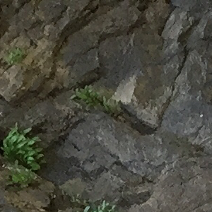 Profile avatar image for XFactorX