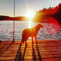 Profile avatar image for EAllain