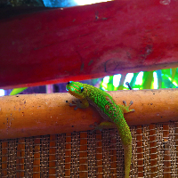 Profile avatar image for JFratsby