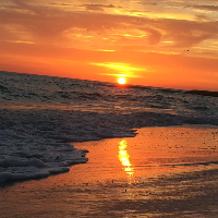 Profile avatar image for Marlinspike