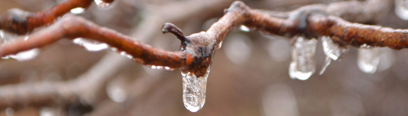 Profile banner image for Skyriter1