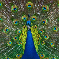 Profile avatar image for arrnieadams