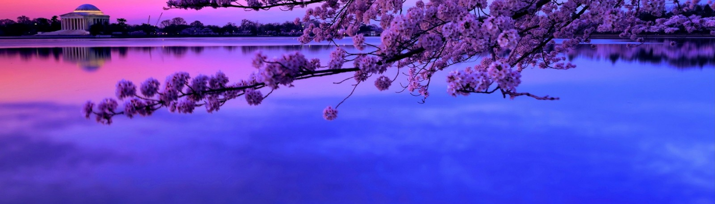 Profile banner image for Neverland