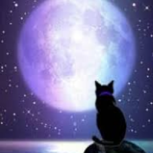 Profile avatar image for Neverland