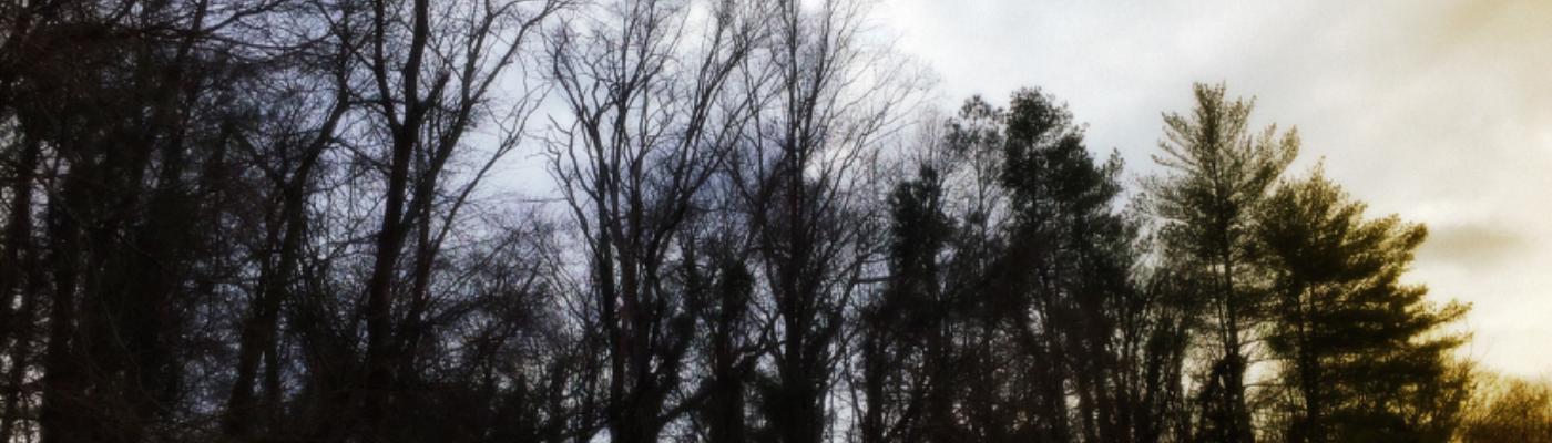 Profile banner image for ToDream