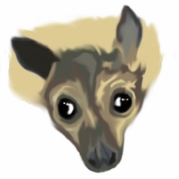 Profile avatar image for FlyingFox