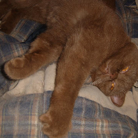 Profile avatar image for TS