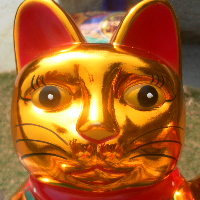 Profile avatar image for TLDteach