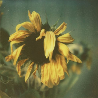 Profile avatar image for Snowther