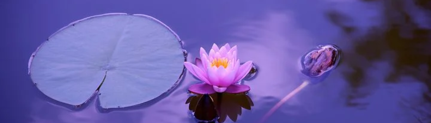 Profile banner image for HBadt