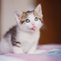 Profile avatar image for Emmagracekrout