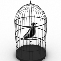 Profile avatar image for ScarlettTara